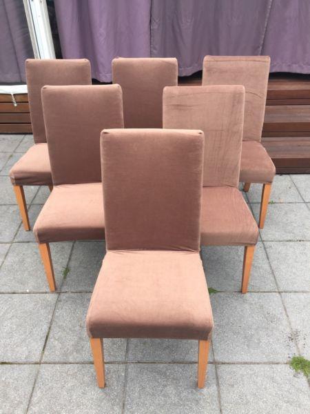 High Back Dining Chairs - Covers are Brand New!