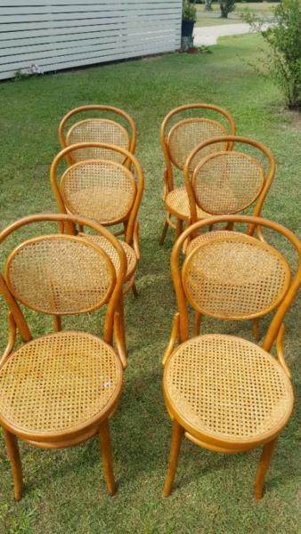 6 Bentwood Chairs