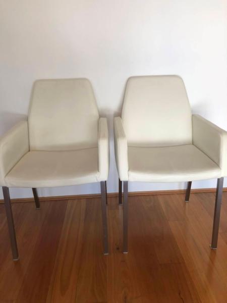 Freedom Furniture Signature White DIning Chairs x 2