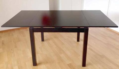 IKEA Bjursta Extendable Dining Table/Computer Workbench