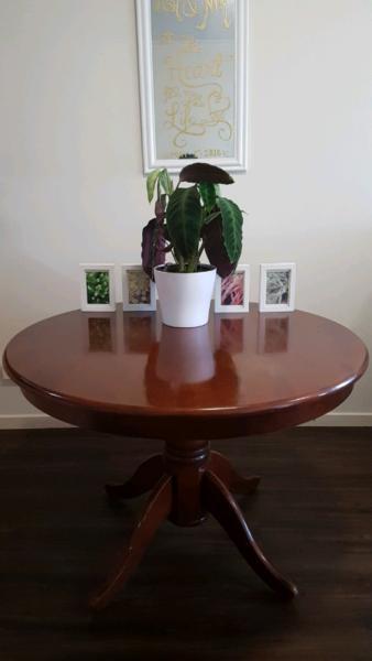 Solid Wood Round Dining Table and Chairs