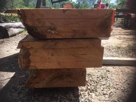 Norfolk Pine Timber Slabs