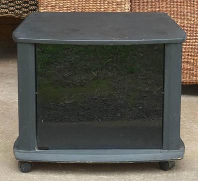 TV Stand with Wheels and Glassdoor