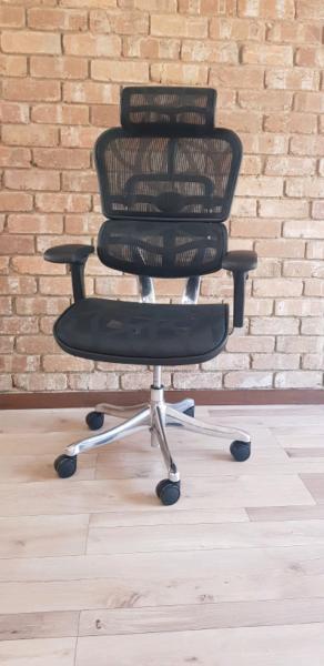 Ergohuman V2 Plus Deluxe Mesh Office Chair