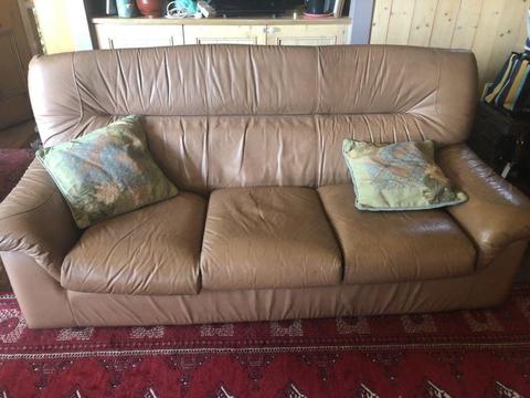 Genuine leather couches
