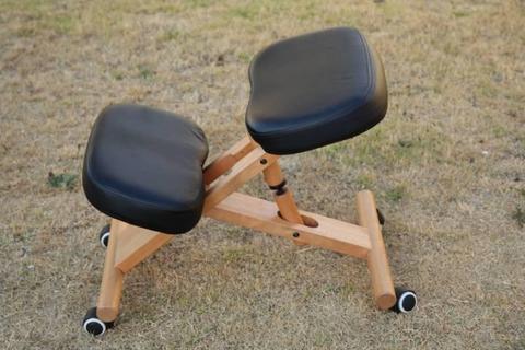Back posture adjustable chair
