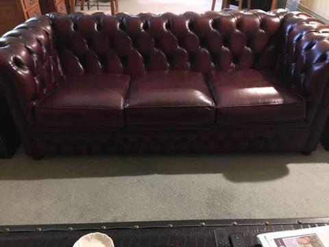 Gascoigne Ox Blood Leather Chesterfield