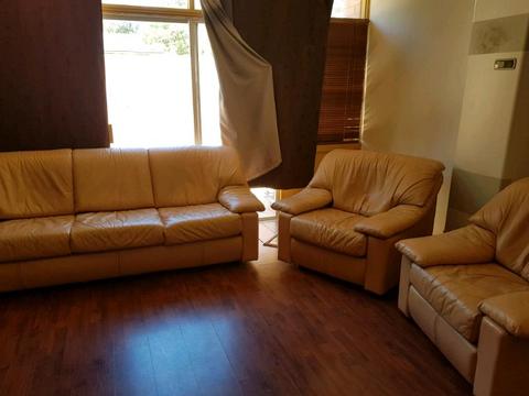 Lounge suites leather 5 seater