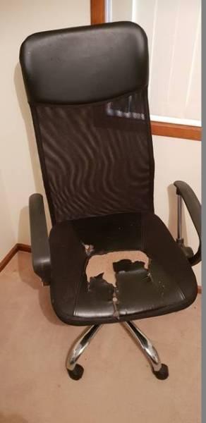 Black Office Swivel Chair