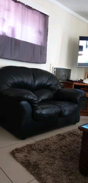 Couches black
