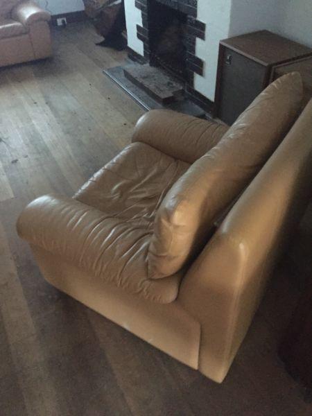 Tan Leather couches