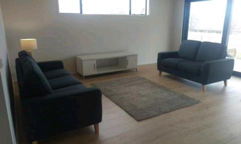 Set of couches, 1x 2seater and 1x 3seater