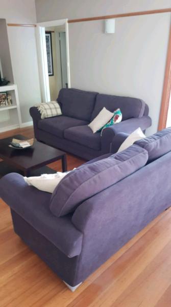 Steinhoff 2 and 2.5 seater couches