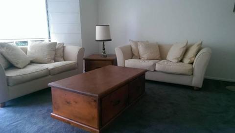 Couch 2 seater with Coffee table