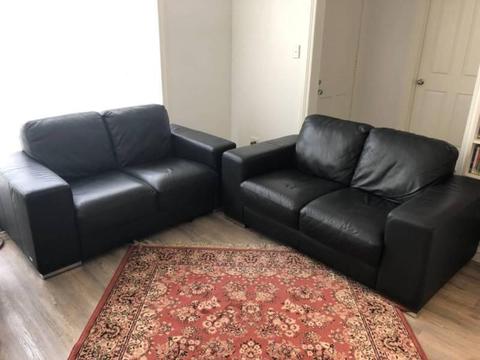 Pair of Violino Black Leather 2 Seater Couches