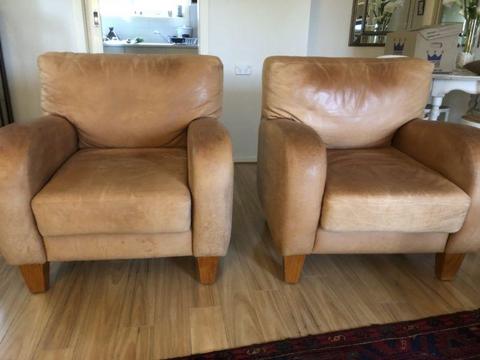 Lounge suite couch pig skin set