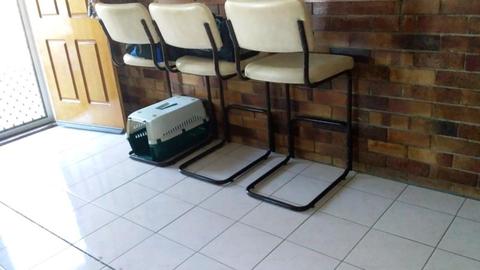Stool chairs for the bar for sale