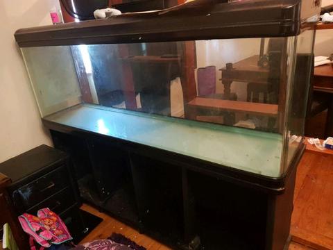 6 Ft Fish Tank