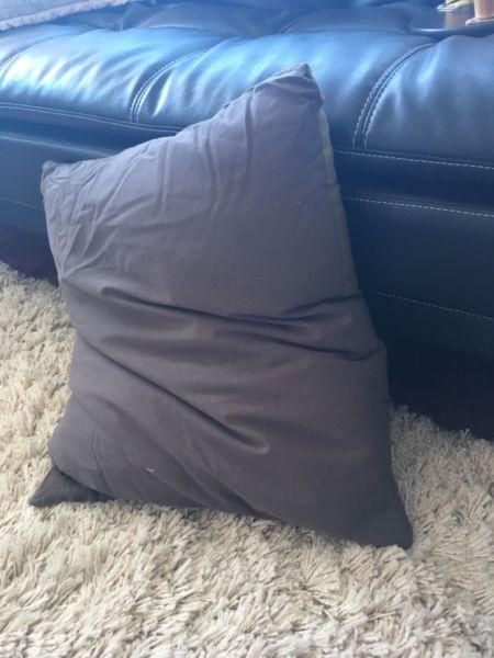 Couch/ Sofa x 2 Pillows - almost new
