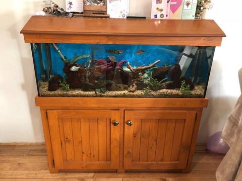 200L Fish Tank with Timber cabinet & lid
