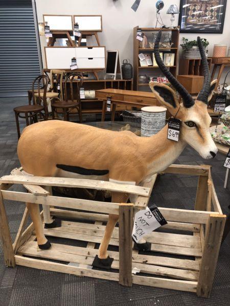 Life-Size Gazelle Statue