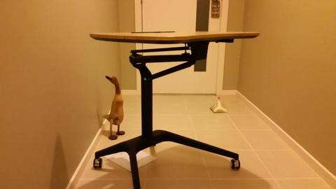 Stand up table