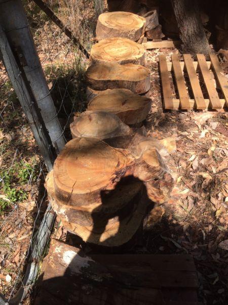 Wood slabs and rounds from $10