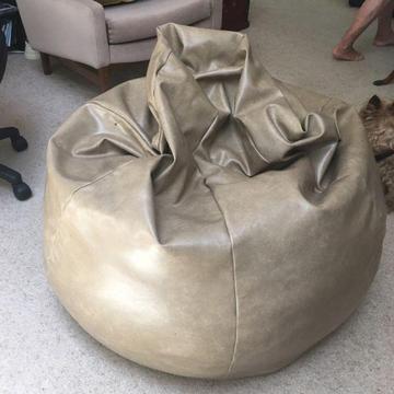 Leather beanbag