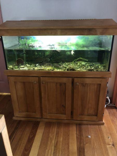 Large fish tank and cabinet