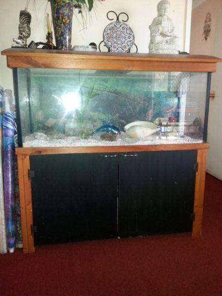 Very larg Fish Tank