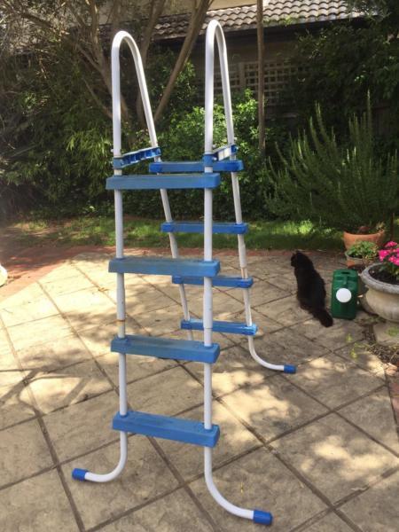 Clark Pool Ladder