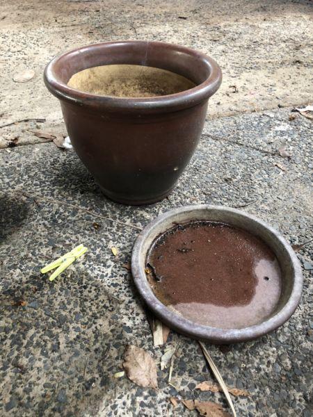 Ceramic Plant Pot with Tray