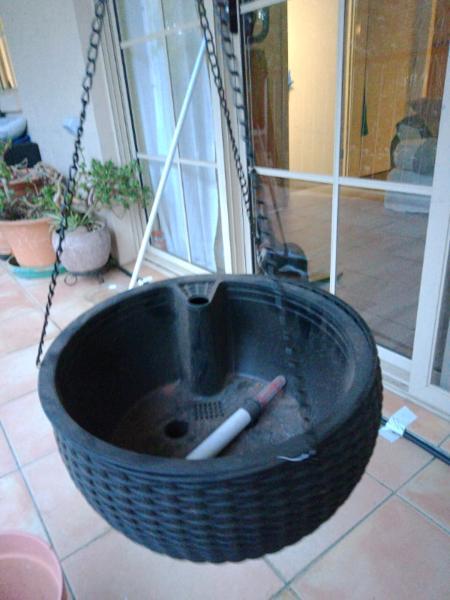 Self watering hanging basket