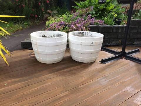 Two White Cement Pots (reduced to $90 for both)