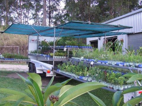 Grab Yourself a Bargain: Thriving Plant Business for Sale