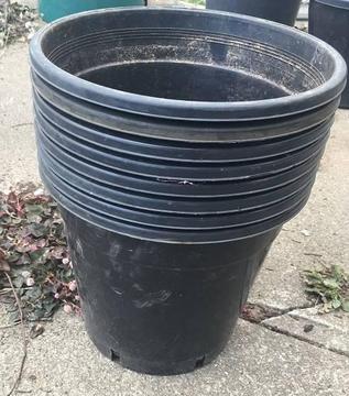 10 black plastic pots