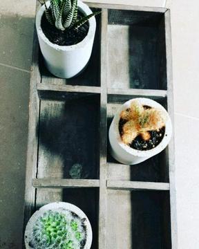Shop our super cute concrete planter pots today