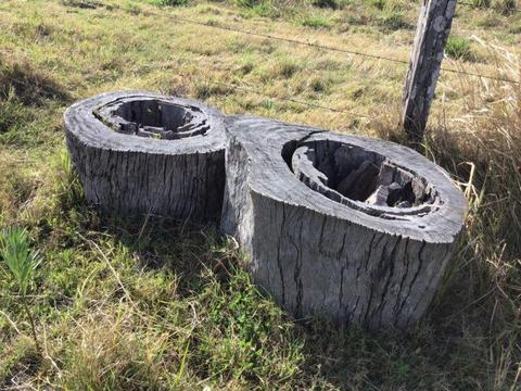 Tree stump pots