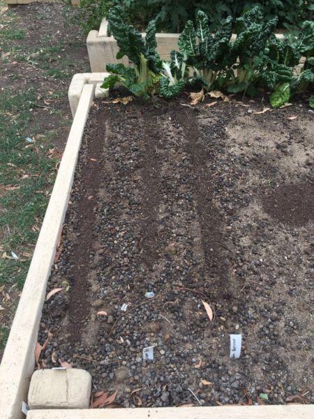 Wanted: Wanted- Garden beds/building materials