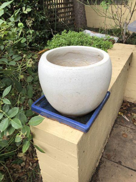 Large white ceramic-stone pot and blue ceramic under plate