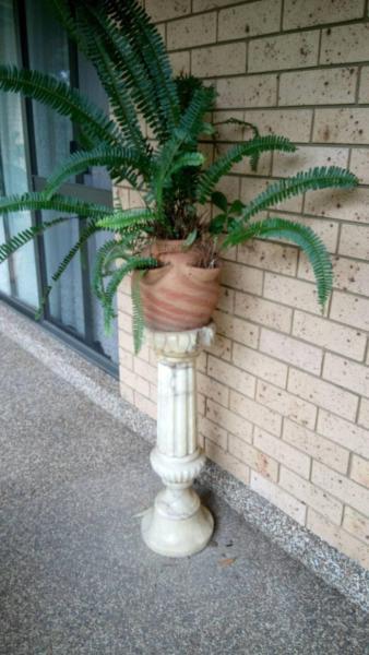 Plant on marble stand