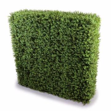 Deluxe Portable Buxus Hedges UV Stabilised 100cm Long X 100cm H