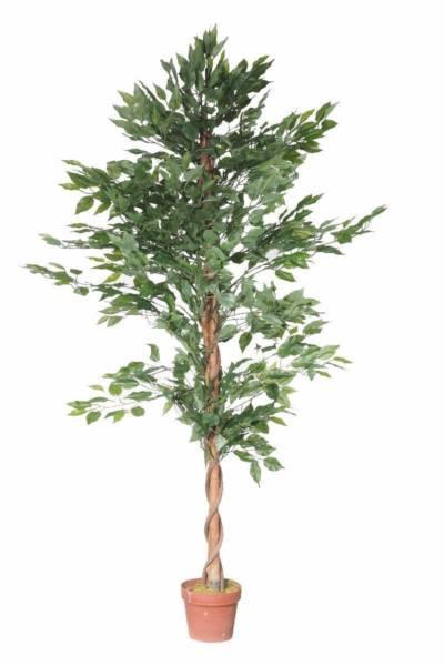 180cm Artificial Bushy Ficus Tree