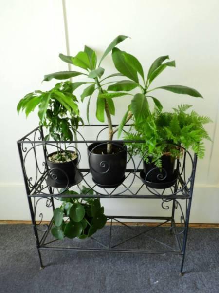 Pot plant stand