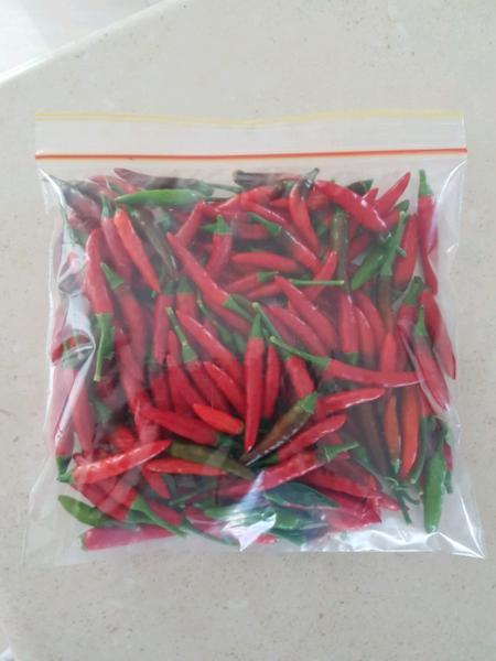 Fresh chilli for sale