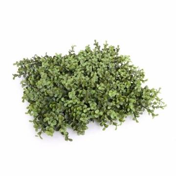 Deluxe Portable Buxus Hedges UV Stabilised 150cm Long X 150cm H