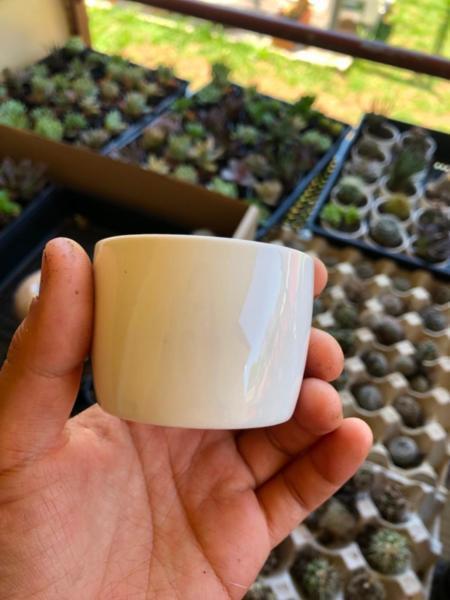 Mini white pots
