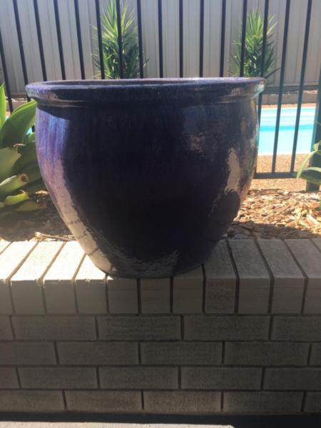 Large glazed plant pots X 2