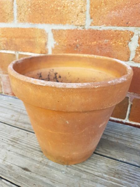 Medium terracotta plant pot