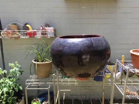 Garden Pot - Large (low profile) Round